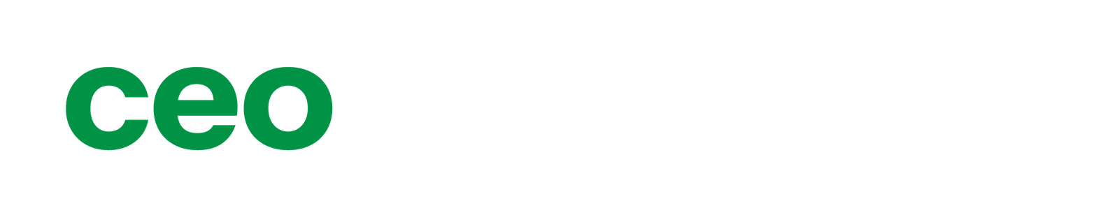ceostorytime.com
